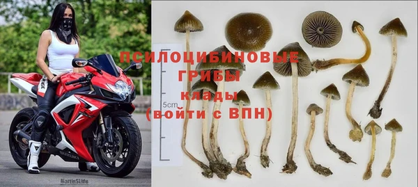 ПСИЛОЦИБИНОВЫЕ ГРИБЫ Абдулино