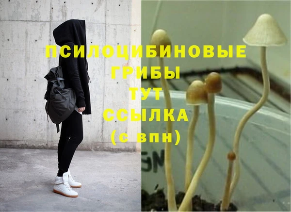 наркотики Алзамай