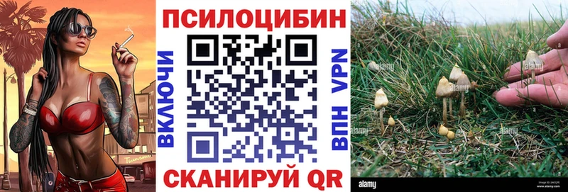 mega как войти купить сайты Нягань Галлюциногенные грибы Psilocybine cubensis