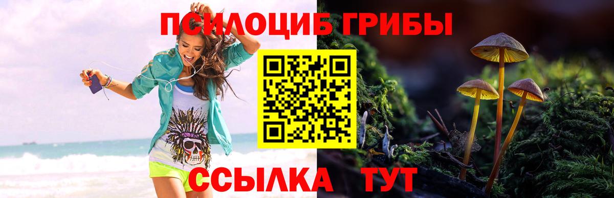 Галлюциногенные грибы мицелий Нягань